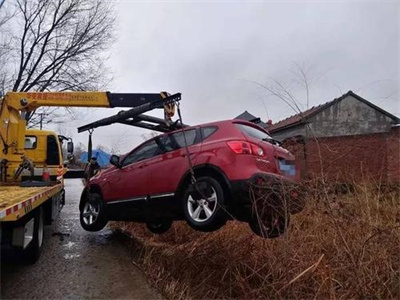 丁青楚雄道路救援